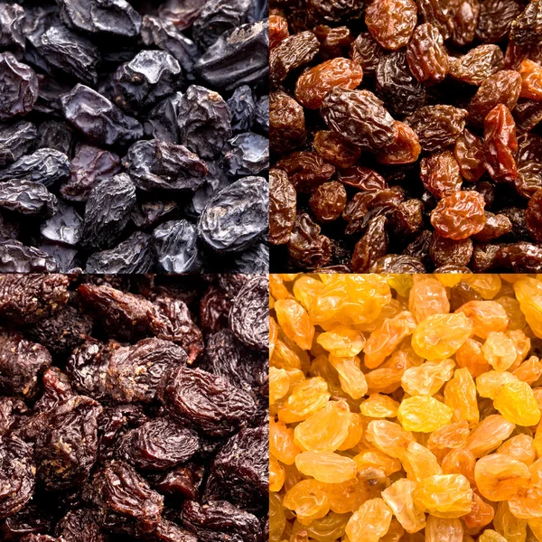 Varieties of raisins — Stock Photo, Image