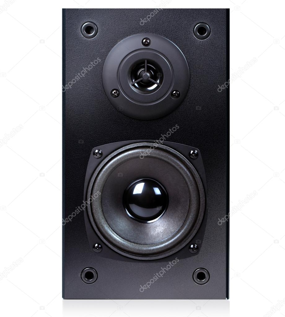 Audio speaker