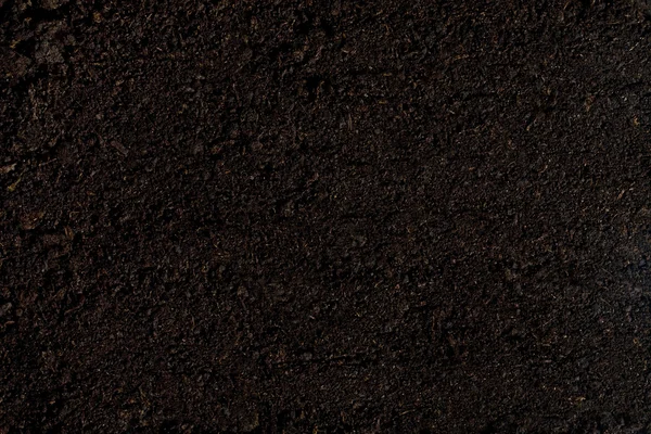 arkaplan yerleştirme