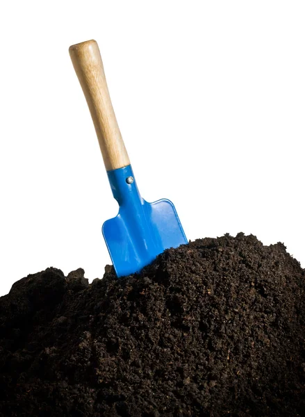 Blue shovel in the ground — Stock Photo, Image