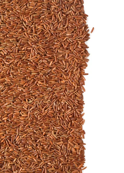 Grains of rice — Stock Photo, Image