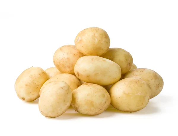 Nieuwe aardappel — Stockfoto