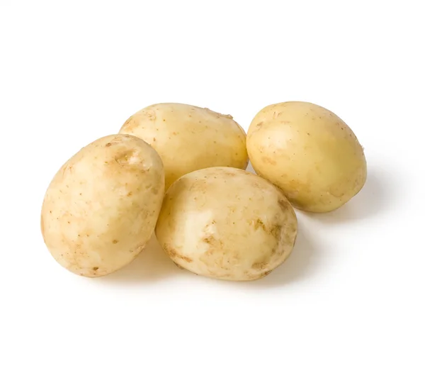 Nieuwe aardappel — Stockfoto