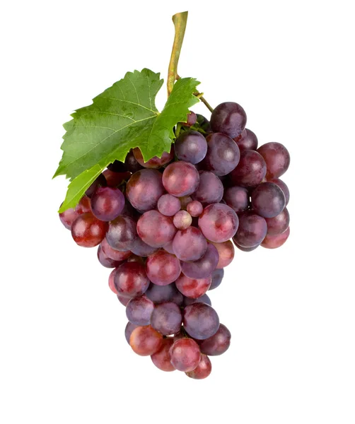 Fresh grape. — Stock Photo, Image