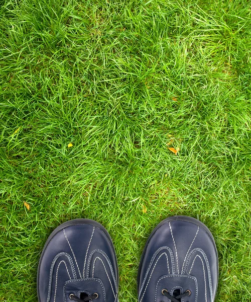 Sapatos na grama . — Fotografia de Stock