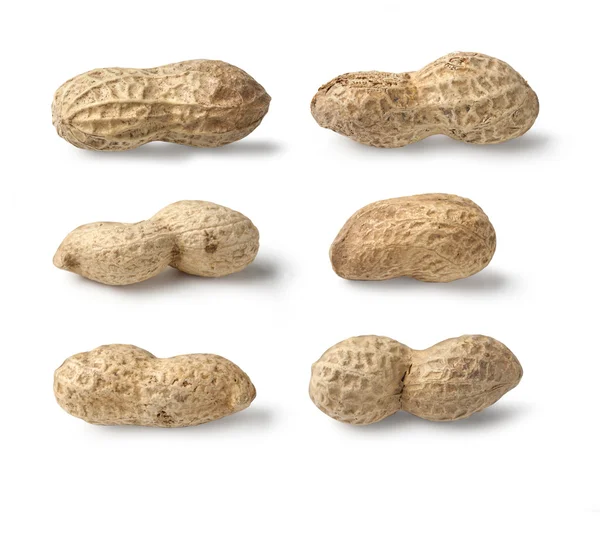 Conjunto de amendoim isolado — Fotografia de Stock