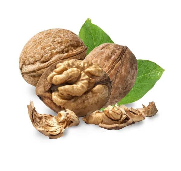 Nueces secas — Foto de Stock