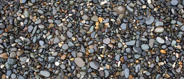 滑らかな丸い小石の質感の背景 ペブルシービーチクローズアップ 暗い湿った小石と灰色の乾燥小石 — ストック写真