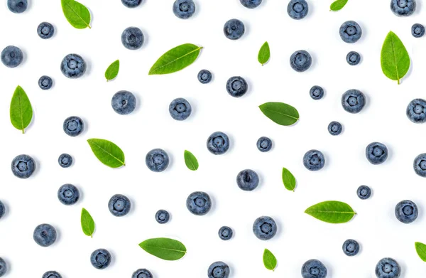 Blueberry Antioxidant Organic Superfood Fresh Blueberries Layout Isolated White Macro — Stock Photo, Image