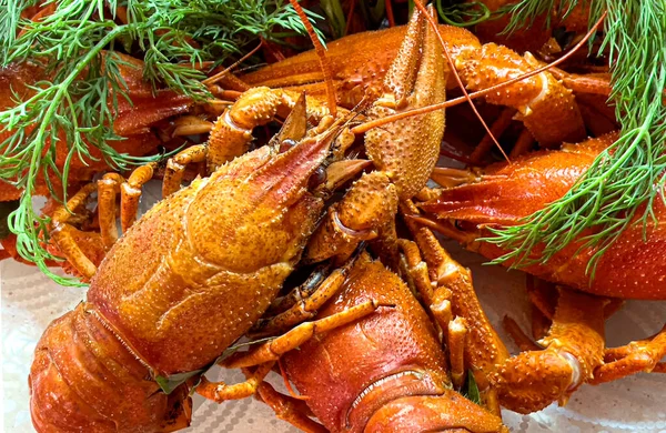 Delicious Red Boiled Crayfishes Plate Close — Stockfoto