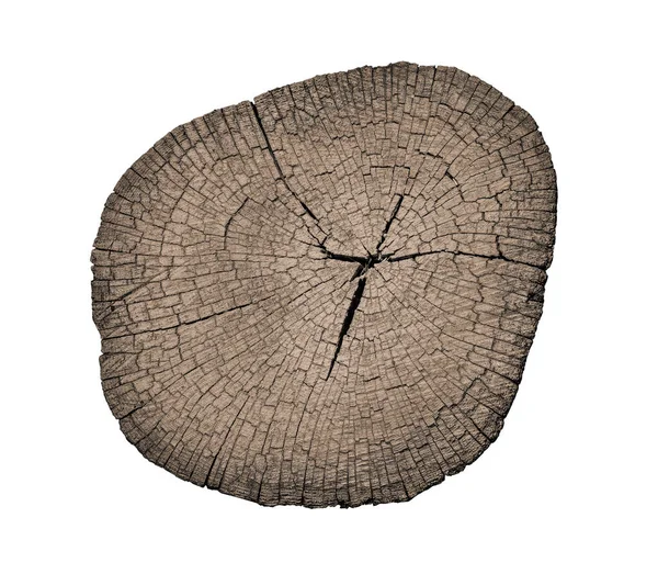 Stump Wooden Texture Background Isolated White Background Has Clipping Path — Zdjęcie stockowe