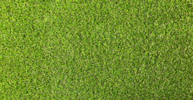 Natural background green artificial grass, top view