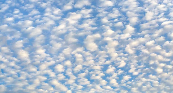 Awan Cirrus Cumulus Musim Gugur Atau Musim Panas Langit Biru — Stok Foto