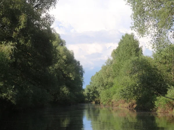 看着河中央的河岸上有树木 — 图库照片