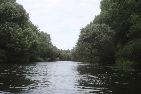 Banche fluviali ricoperte di alberi ed erba — Foto Stock