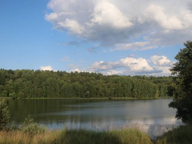 Ağaçlar ve çimlerle kaplanmış nehir kıyıları