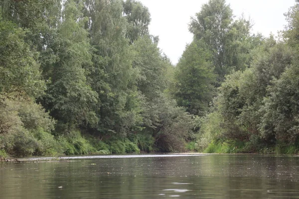 Річкові береги вирощені з деревами і травою — стокове фото