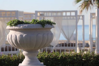 Vazo, balkon ve denizin arka planında bitkilerle dolu.