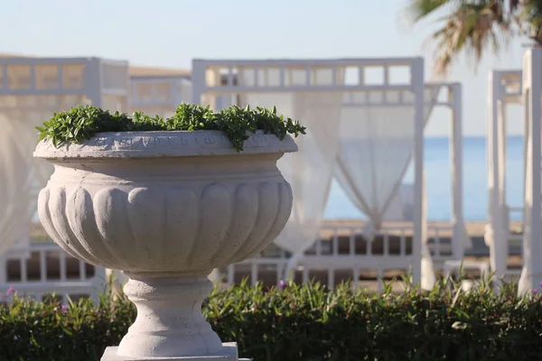Váza növények ellen háttér pavilon és a tenger Stock Fotó