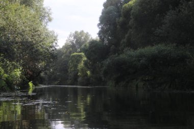 Ağaçlar ve çimlerle kaplanmış nehir kıyıları