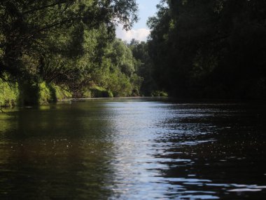 Ağaçlar ve çimlerle kaplanmış nehir kıyıları