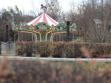 Parkta ışıkları olan atlıkarınca çocukları.