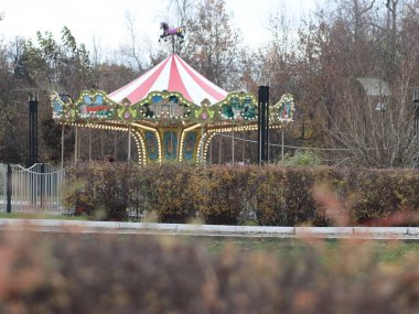 Parkta ışıkları olan atlıkarınca çocukları.