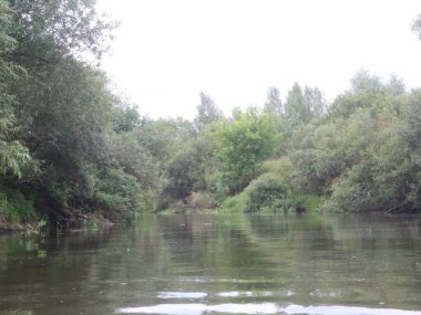 Ağaçlar ve çimlerle kaplanmış nehir kıyıları