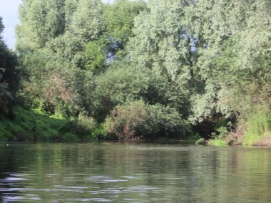 Ağaçlar ve çimlerle kaplanmış nehir kıyıları