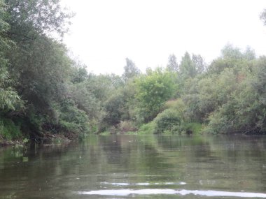 Ağaçlar ve çimlerle kaplanmış nehir kıyıları