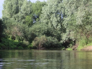 Ağaçlar ve çimlerle kaplanmış nehir kıyıları