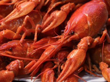 Kaynamış kırmızı kerevitin yakın plan çekimi.