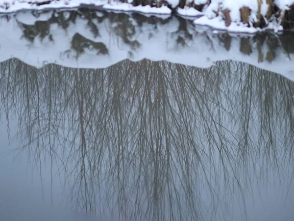 Отражение зимнего леса в черной воде — стоковое фото