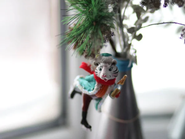 Рождественский тигр с бутылкой, висящей на еловой лапе — стоковое фото