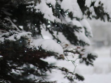 Karla kaplı patiler ışıklarla yenir