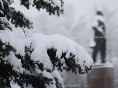 Karla kaplı patiler ışıklarla yenir