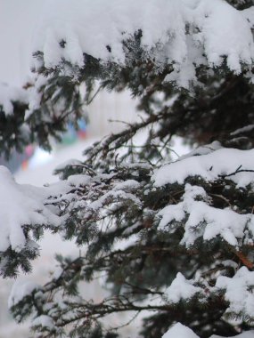 Karla kaplı patiler ışıklarla yenir