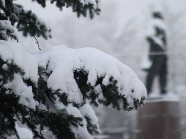 Karla kaplı patiler ışıklarla yenir