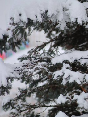 Karla kaplı patiler ışıklarla yenir