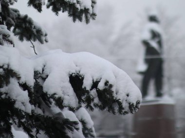 Karla kaplı patiler ışıklarla yenir