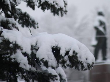 Karla kaplı patiler ışıklarla yenir