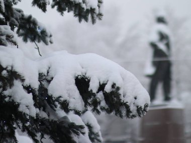 Karla kaplı patiler ışıklarla yenir