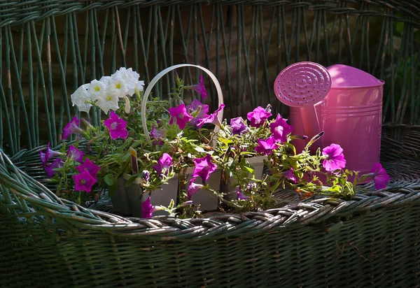 Achtertuin decor — Stockfoto