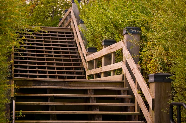 Stair Climber — Stock Photo, Image