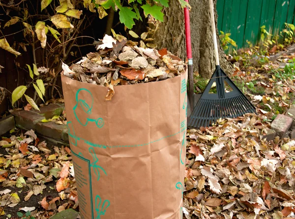 Rake and Bagging Leaves — Stock Photo, Image