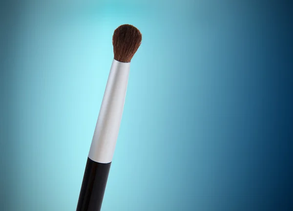 Small Brush Blue — Stock Photo, Image