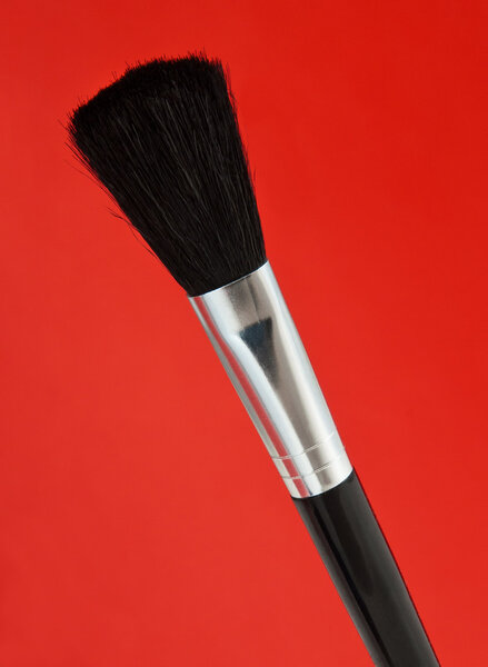 Large Make-up Brushes