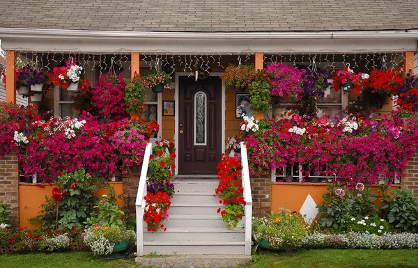 House blommor inredning — Stockfoto