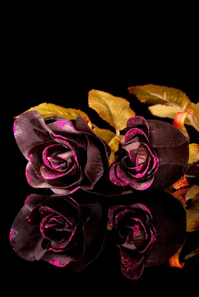 Rosas pretas — Fotografia de Stock