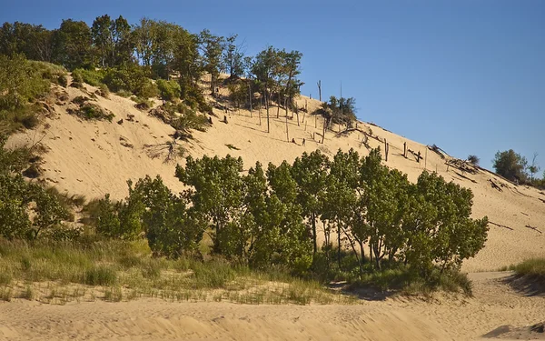 Warren Sand Dunes — Stock Photo, Image